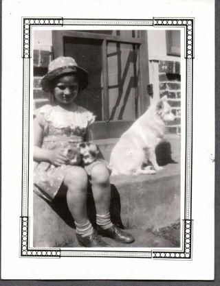 Vintage Photograph Girls Fashion Cat/kittens Dog/puppy Arlington Texas Old Photo