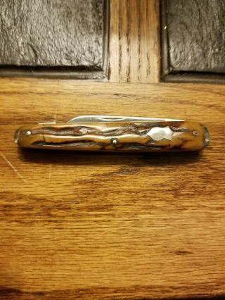 Vintage Whinchester Stag Pocket Knife (2938) On Back Side Of Tang