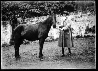Victorian Lady & Horse Combe Martin V Large 1/2 Plate Glass Negative Eb149