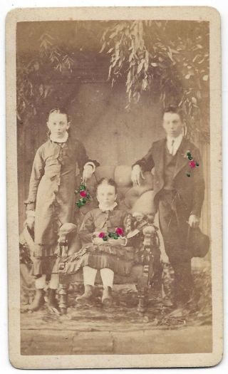 Cdv Victorian Children In The Garden Carte De Visite Photograph