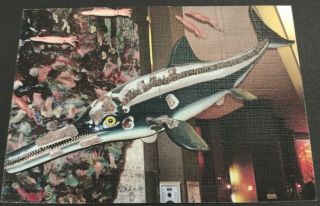 2018 Ichthyosaur Prehistoric Animal Paleontology Museum Dinosaur Russia Postcard