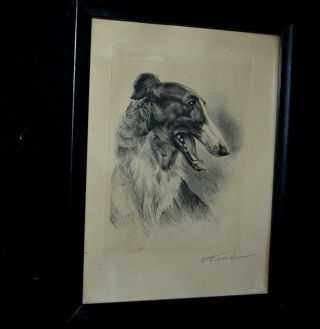Vintage Signed Szl Etching Borzoi Russian Wolfhound From France