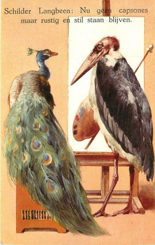 1920s Dutch Bird Art Postcard Old Stork Painter Tells Peacock Model; Hold Still