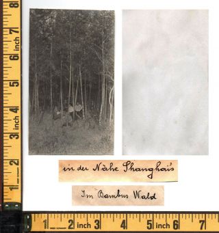 Historic China Photograph Old Shanghai Bamboo Forest - 1 x orig 1900 2