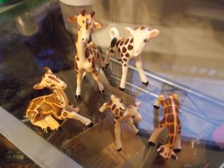 Vtg Giraffe 5 Bone China Porcelain Miniature Figurines