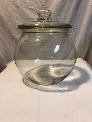 Vintage Large Clear Round Glass Apothecary Jar Cookie Candy Jar Terrarium W/ Lid