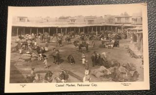 Rppc Postcard Photo Peshawar Camel Market C1900s India Pakistan N.  W.  F.  P