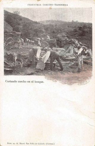Catalonia,  Spain,  Men At Work Cutting Cork & Loading Carts In Forest C 1898