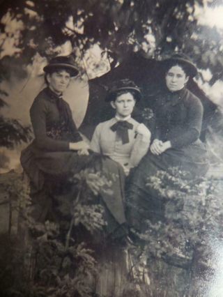 Tintype Photo T155 Group Of 3 Women Posing In Dresses & Brimmed Hats