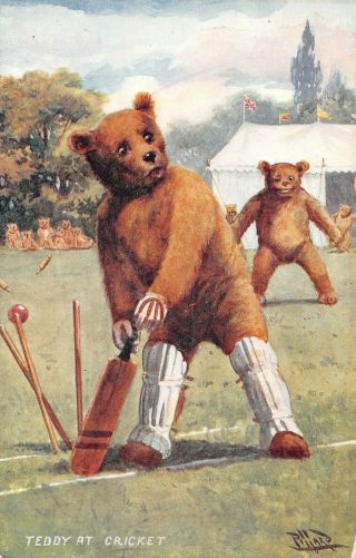 Teddy Bear Playing At The Game Of Cricket,  Langsdorf Pub Artist Image C 1904 - 14