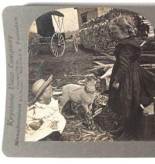 Stereoview Card Keystone Serving Refreshments At Baby 