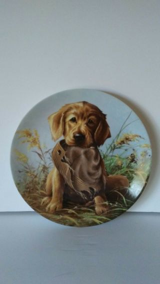 1987 Knowles Caught In The Act Golden Retriever Plate Vintage