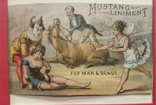 C1800s Trade Card Mustang Liniment For Man & Beast Clown Horse Women Circus