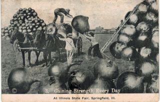 Springfield Illinois State Fair Exaggeration Giant Onions 1910 Il