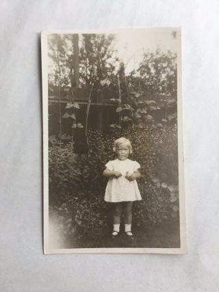 C1934 B/w Photograph.  Little Girl In White Dress By Runner Beans.  Eunice Savill