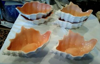 Set Of 6 Fitz And Floyd Japan Coquille Conch Shell Bowl Dish 8 " Bin 1055
