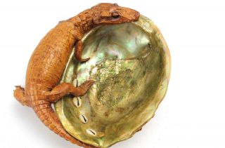 Vintage Baby Alligator Taxidermy On Abalone Shell Bowl Or Ashtray