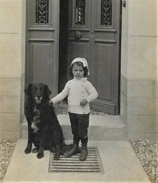 Little Girl Posing With Flat Coated Retriever Dog C1910 Private Photo Postcard