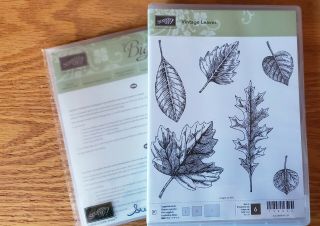 Stampin Up Vintage Leaves & Leaflets Dies Maple Oak Leaf Autumn Fall Retired