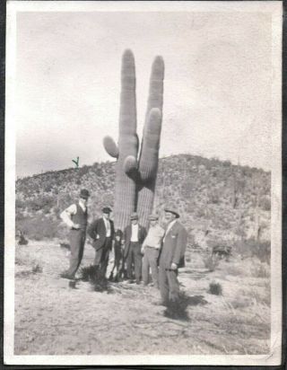 Vintage Photograph Men Guns Shotguns Rifle Saguaro Cactus Tucson Arizona Photo