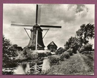 1930s Dutch Windmill In Holland Netherlands Photograph 6