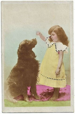 Little Girl Offers A Treat To Flat - Coated Retriever Dog 1900 Rppc