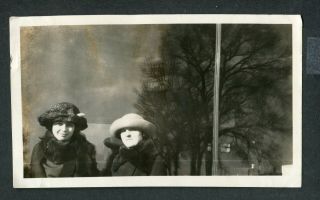 Unusual Vintage Photo Women W/ Spooky Black Tree 387106