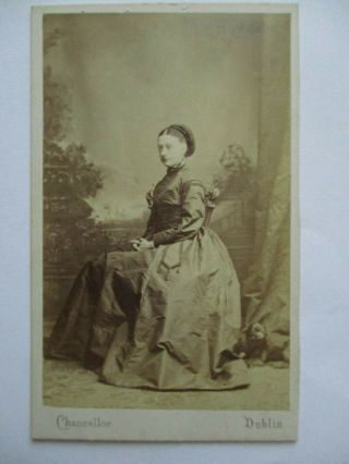 Cdv Photo Seated Victorian Lady With Dog By Chancellor,  Dublin Ireland 1860s