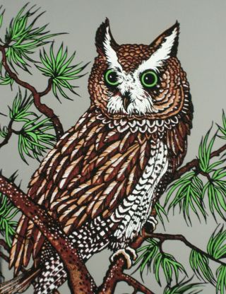 Vintage Horned Owl Mirror Art Silk Screen Print Wood Frame 14.  5 