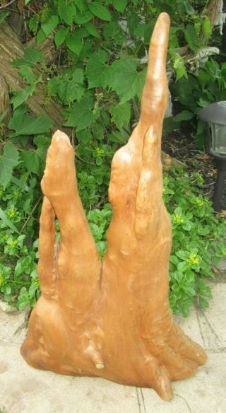 Vtg Cyprus Knee Tree Wood Root Primitive Carving Crafts 21 " Tall