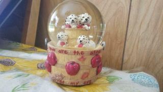 6 " Dalmation Dogs Musical Water Snow Globe Dogs Sitting In Bucket Of Apples