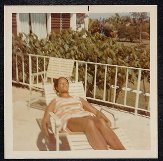 Vintage Photograph African American Woman Sunbathing In Lounge Chair