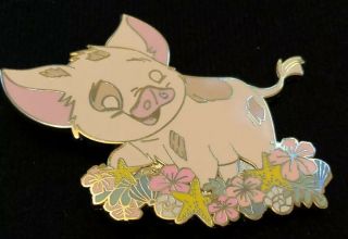 Disney Fantasy Pua Pig Moana Floral Cuddly Companion Pet Pin Le 50