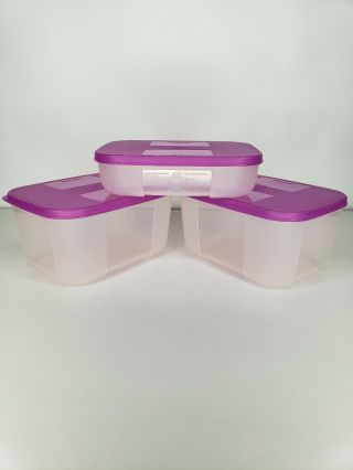 Tupperware Freezer Mates Purple Lids Bottoms 2 3/4 Cups 1 Cup Set