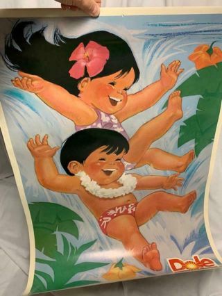 Dole Kids Castle & Cooke Display Poster,  Kids Sliding Down A Waterfall P - 6615