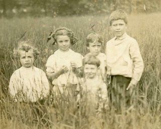 Bt53 Vintage Photo Children In Summer Field C 1930 