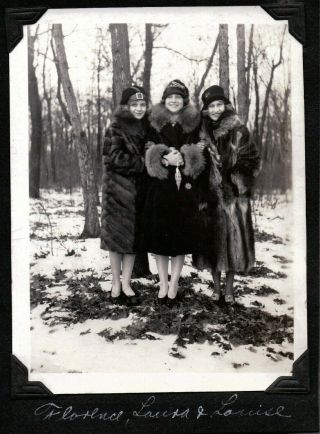 Vintage Photograph Flapper Girls Fur Coat/hats/purse Lake Geneva Wisconsin Photo