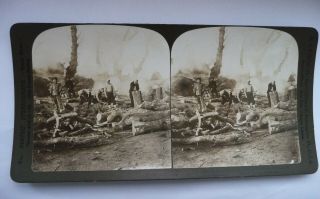 Early Stereoview Card Jolly Japs Cutting Wood Manchuria China By H.  C White 1905