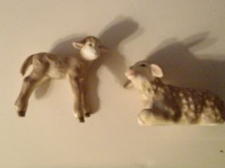 1960 Goebel Mother Sheep & Lamb Nativity Figurine W Germany 3 " & 2.  5 " Rare