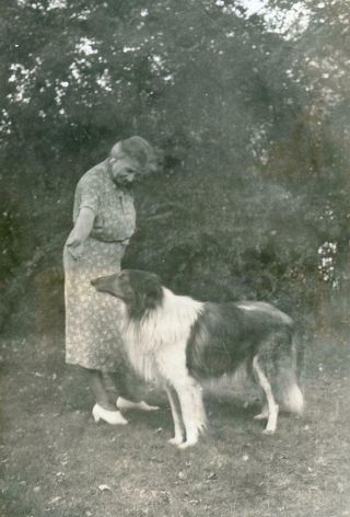 Aa17 Vtg Photo Woman With Her Collie Dog C 1940