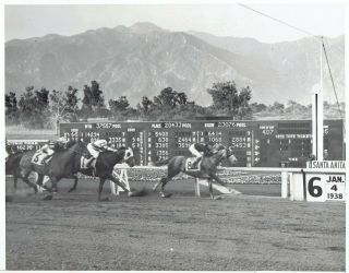 1937 Vintage Photo Racehorse " Gray Jack " (8) Disqualified At Santa Anita Race