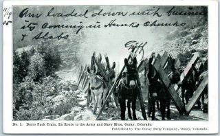 1905 Ouray,  Colorado Postcard " Burro Park Train,  En Route To Army & Navy Mine "