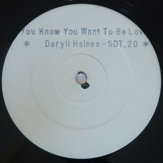 Daryl Haines You Know You Want To Be Loved 12 " White Label Ex