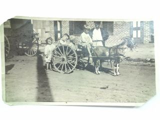 1800s Photo Of Four Children,  African American Guardian,  Wagon And Goat