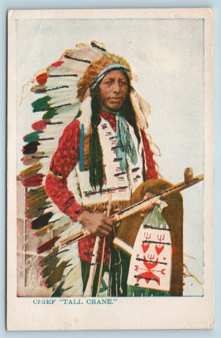 Postcard Native American Indian Chief Tall Crane C1906 Lakota Sioux T9