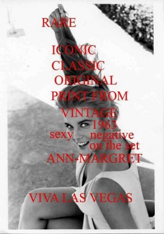 Ann Margret Sexy Playful From 1963 Vintage Negative Viva Las Vegas Set