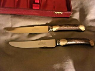 Vtg.  Cooper Bros Sheffield England Stag Horn Resin Steak Knives Set of 5 3
