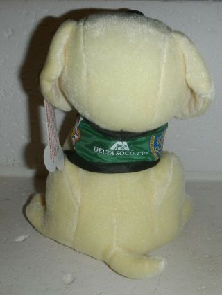 NWT Raising Canes Chicken Fingers Therapy Cane Plush Puppy Dog Delta Society 2