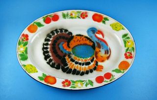 Vintage Colorful Enamelware Metal Turkey Serving Platter Dish Plate