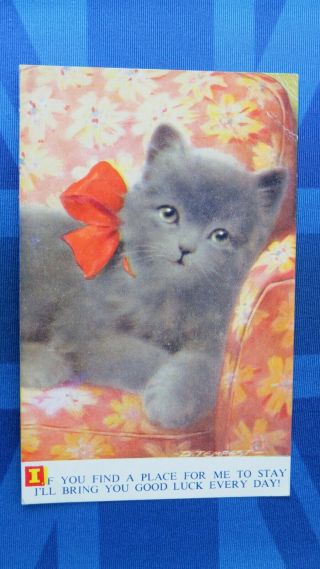 Doug Tempest Bamforth Comic Postcard 1953 Lucky Black Cat Kitten Good Luck G145